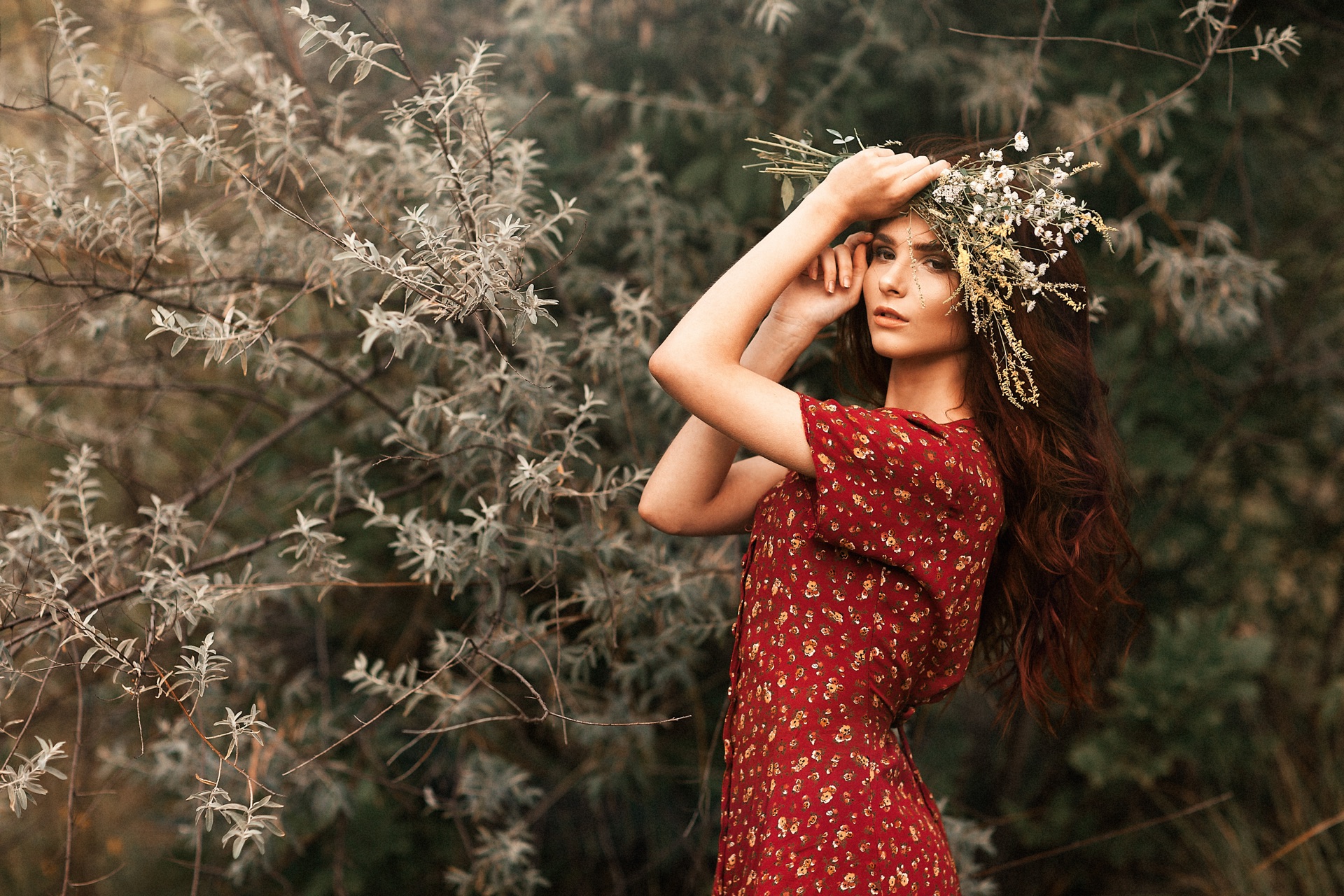 Wildflower Gaze