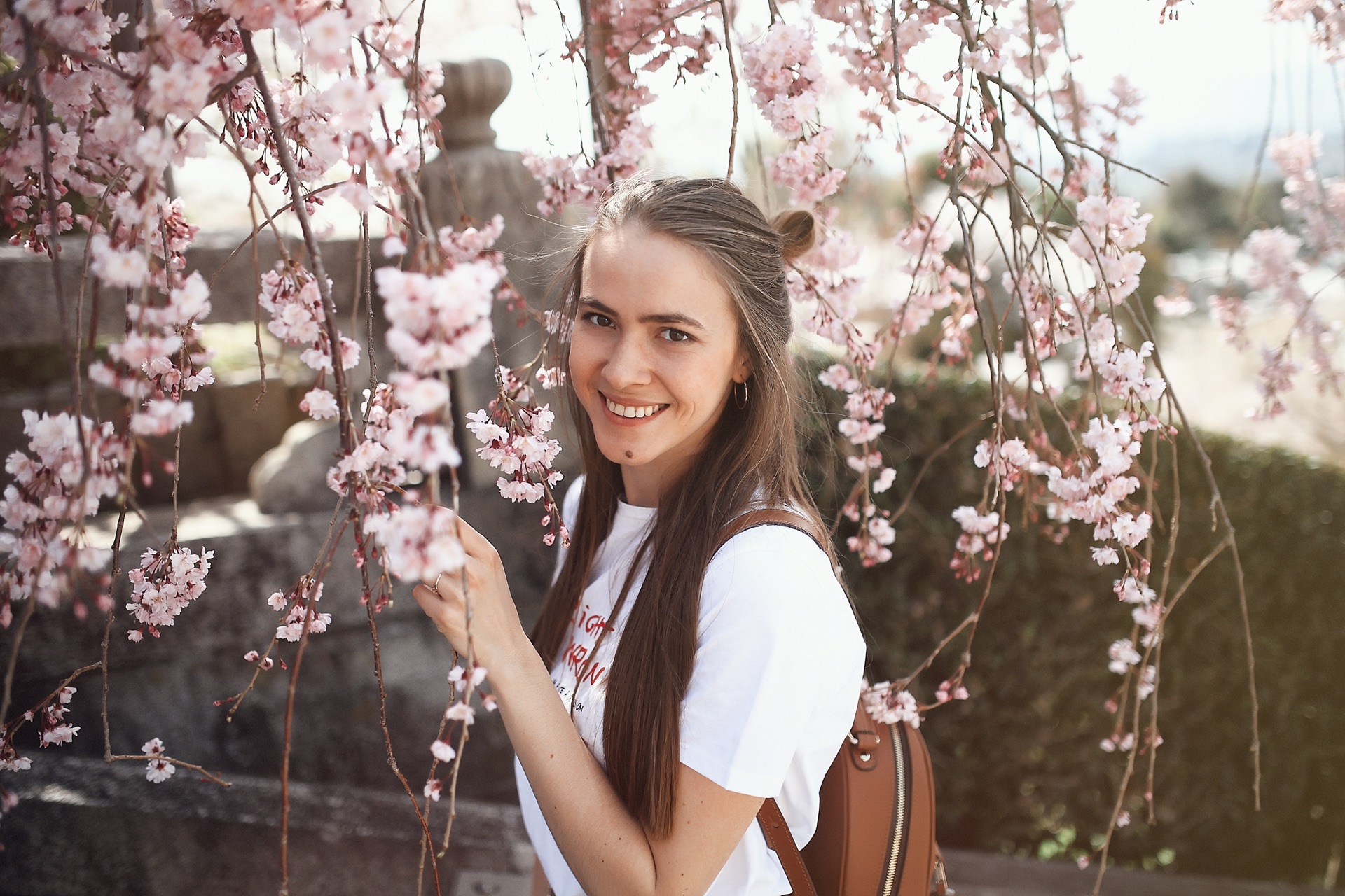 Spring Blossoms