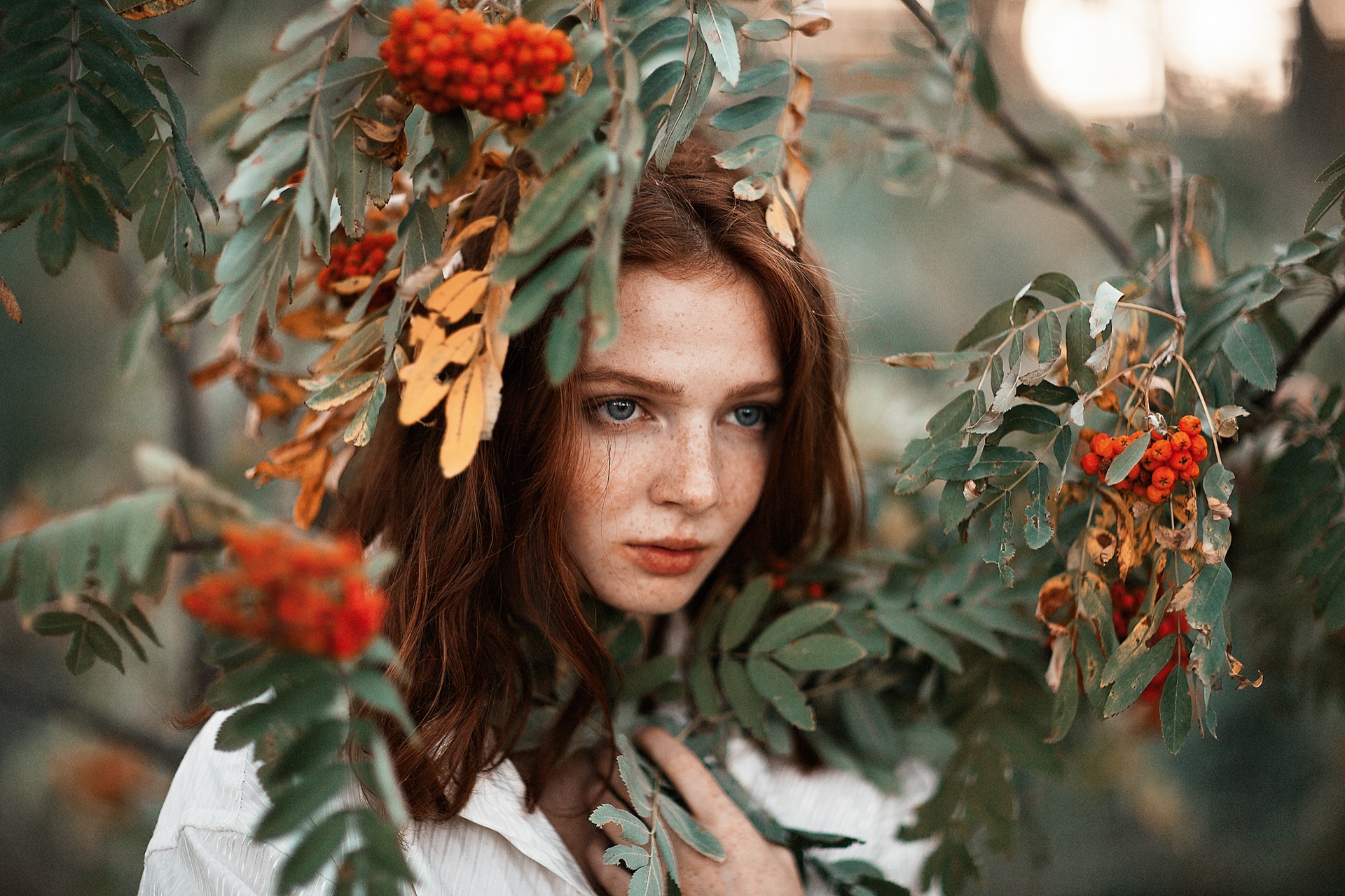 Rowan Berry Eyes